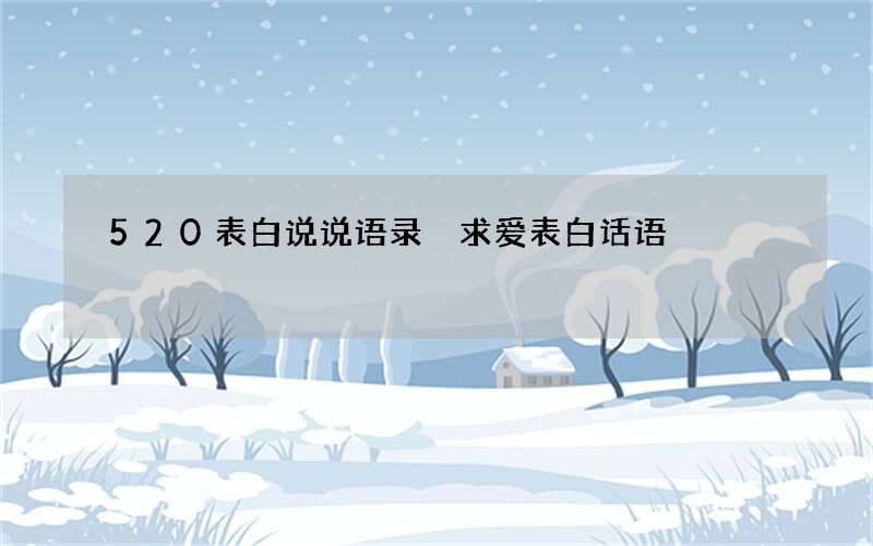 520表白说说语录 求爱表白话语